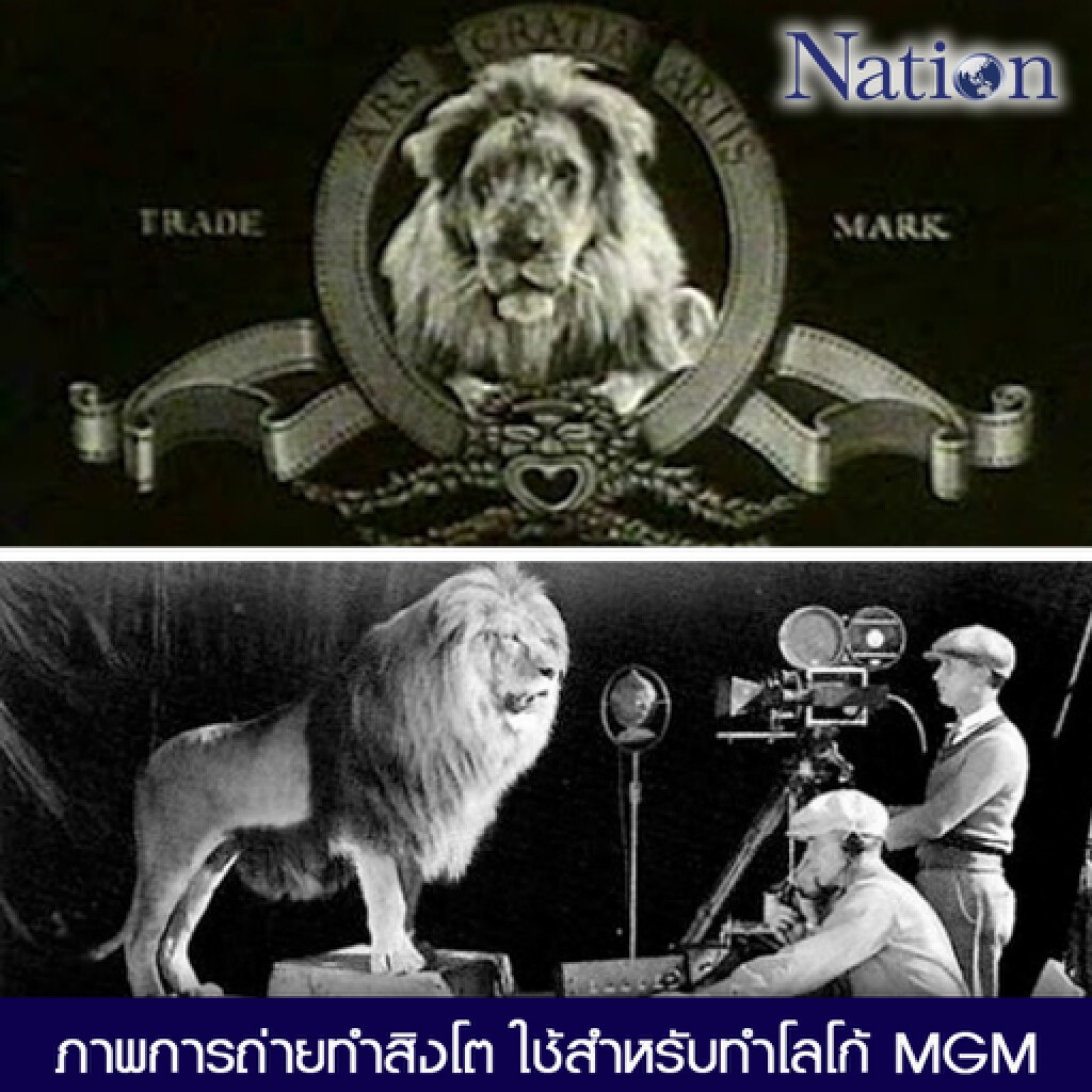 ภาพนี้มีที่มา: การถ่ายทำสิงโตสำหรับโลโก้ค่าย MGM ภาพนี้มีที่มา: การถ่ายทำสิงโตสำหรับโลโก้ค่าย MGM