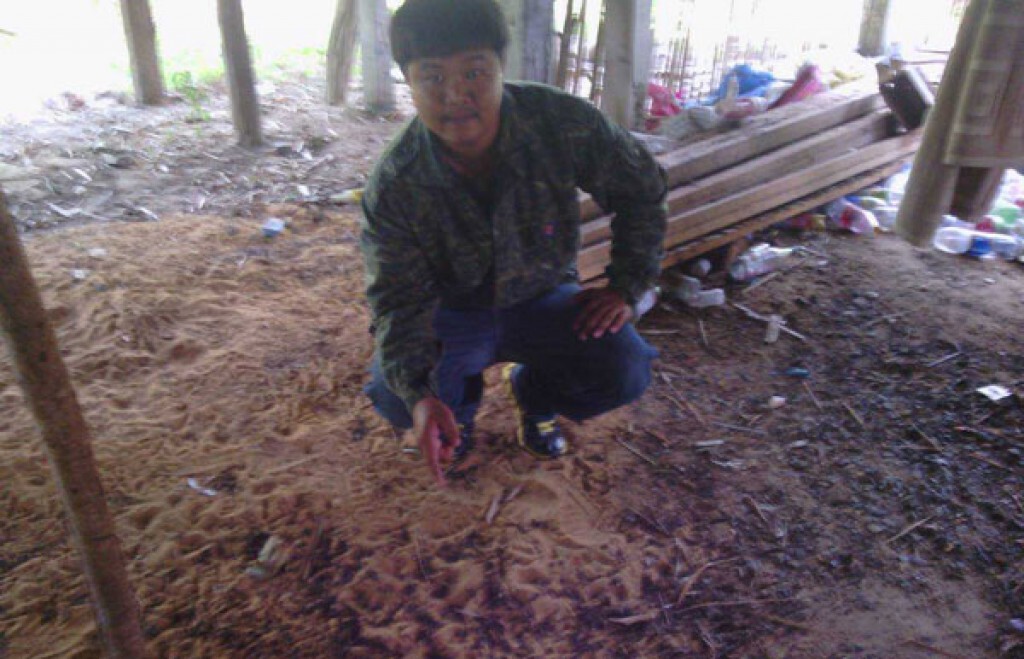 แมลงปีกแข็งนับล้านตัว บุกบ้านชาวบ้าน