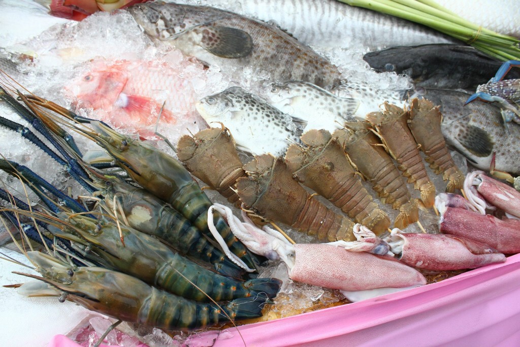 อาหารทะเล ตรัง ราคาพุ่ง และขาดแคลน อาหารทะเล ตรัง ราคาพุ่ง และขาดแคลน