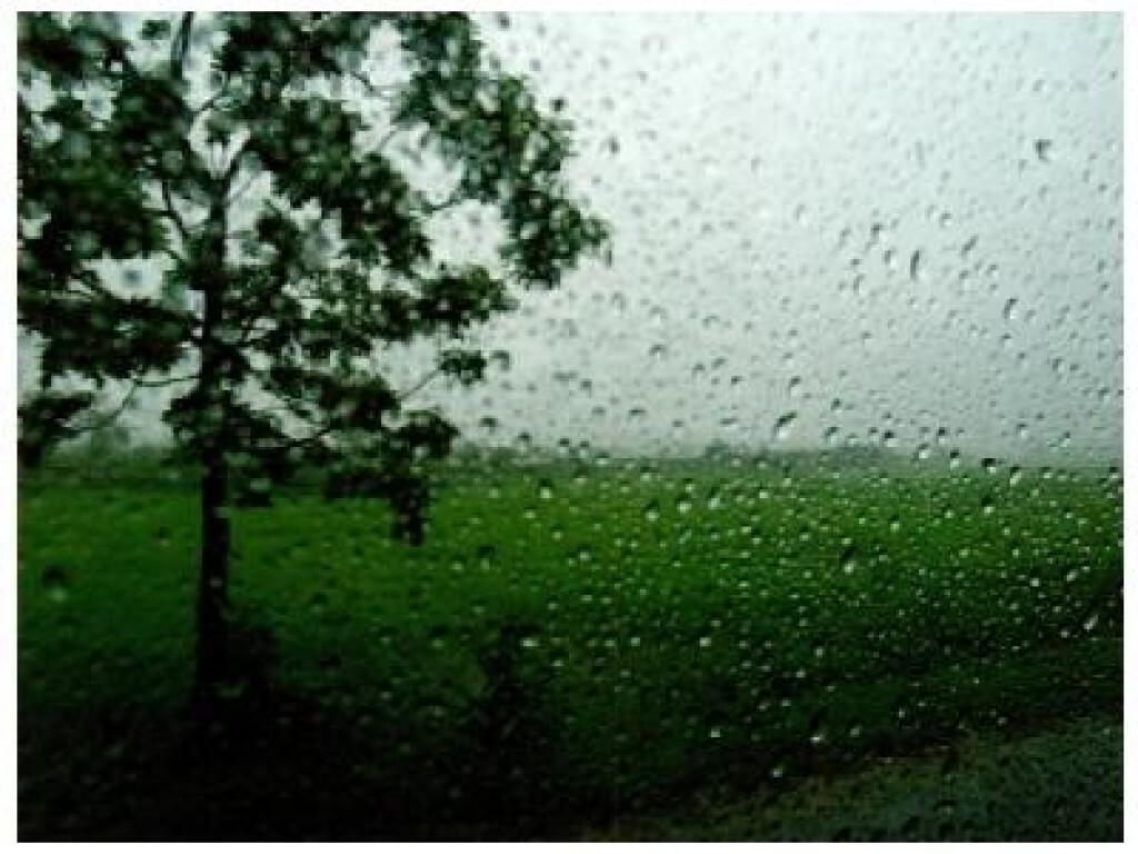 พายุฝนซัดต้นไม้ใหญ่โค่นทับรถ เคราะห์ดีไม่มีคนบาดเจ็บ
