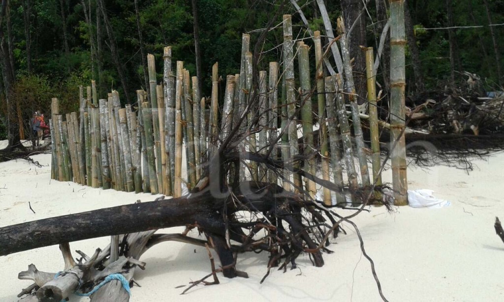 เร่งสร้างแนวกั้นไม่ไผ่  รับมือคลื่นซัดชายหาดเสียหาย