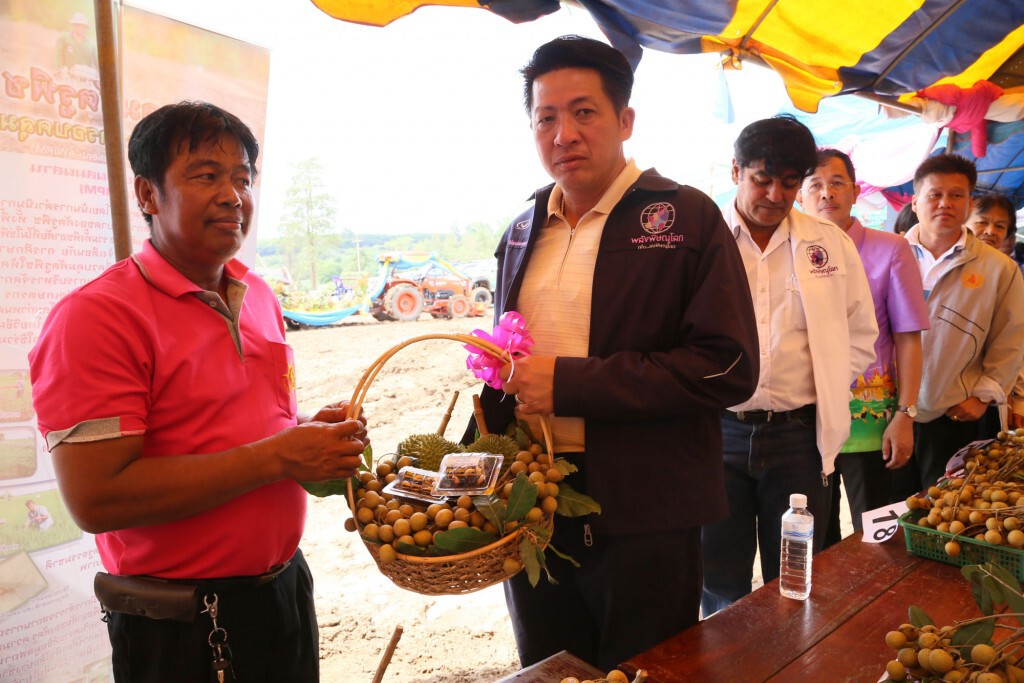งานวันลำไย ของดีตำบลชมพู ประจำปี 2557 งานวันลำไย ของดีตำบลชมพู ประจำปี 2557