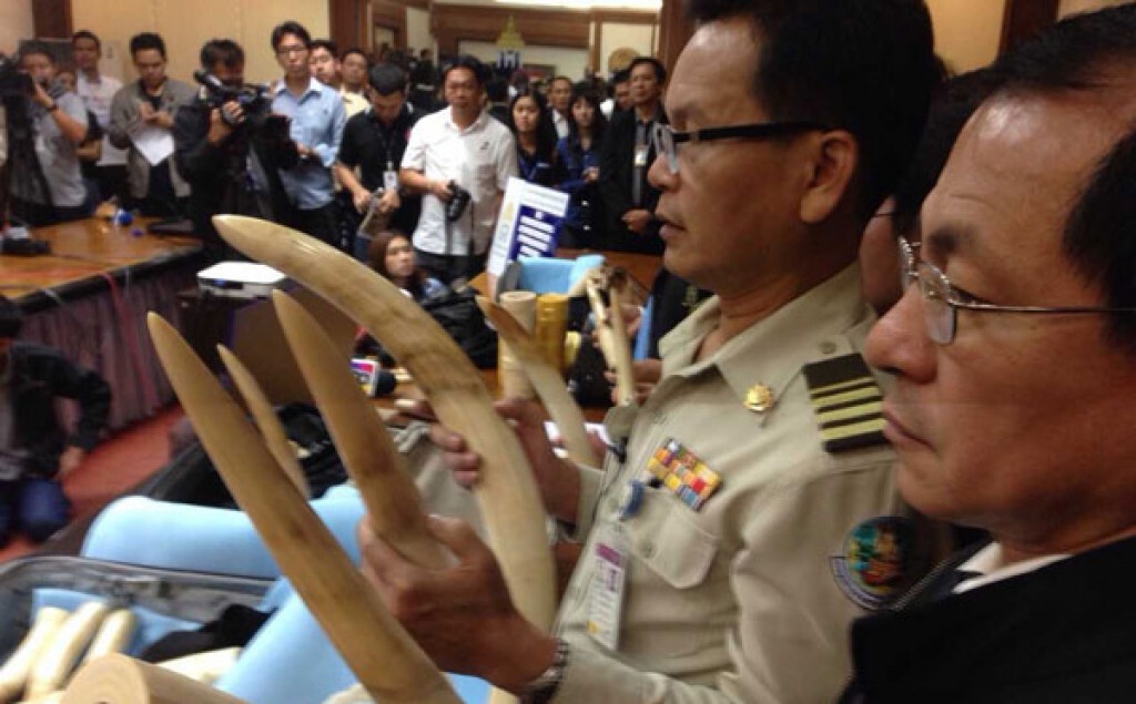 กรมศุลฯแถลงจับงาช้าง มูลค่า 9 ล้านบาท