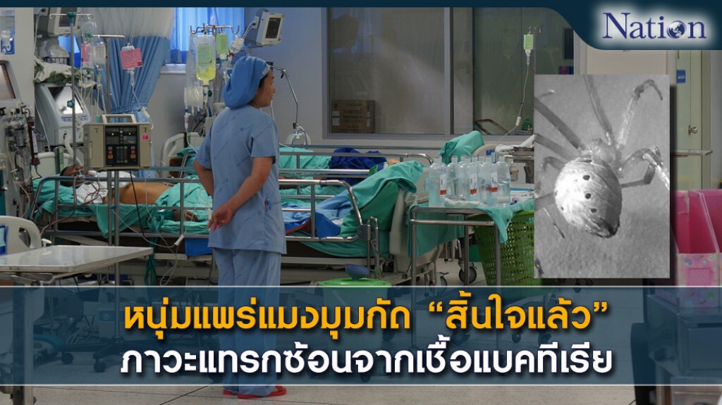 หนุ่มแพร่แมงมุมกัดฟังพระเทศน์ก่อนสิ้นใจ ภาวะแทรกซ้อนจากเชื้อแบคทีเรีย หนุ่มแพร่แมงมุมกัดฟังพระเทศน์ก่อนสิ้นใจ ภาวะแทรกซ้อนจากเชื้อแบคทีเรีย