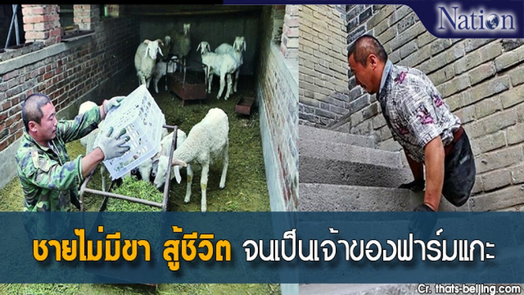 ชายไม่มีขา สู้ชีวิต จนเป็นเจ้าของฟาร์มแกะ ชายไม่มีขา สู้ชีวิต จนเป็นเจ้าของฟาร์มแกะ