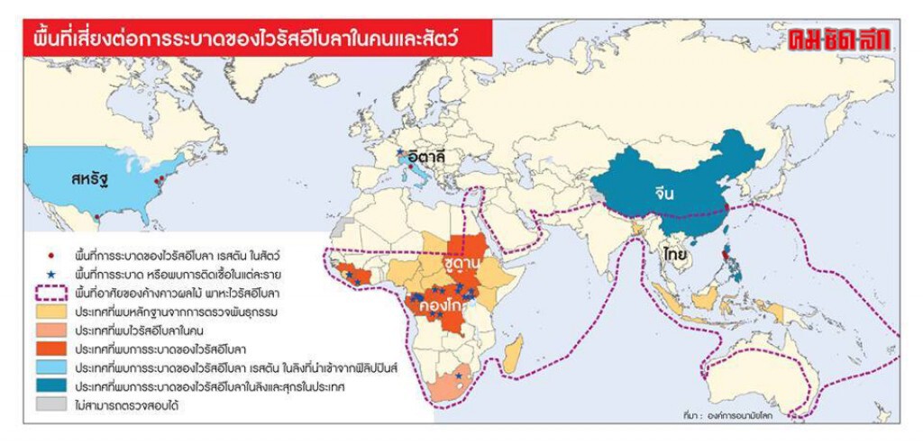 หวั่น"อีโบล่า"แพร่ระบาดเหมือนเครือข่ายใยแมงมุมยักษ์ หวั่น"อีโบล่า"แพร่ระบาดเหมือนเครือข่ายใยแมงมุมยักษ์