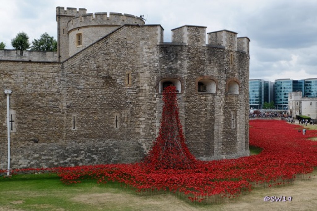อังกฤษทำ 'ป๊อปปี้เซรามิค' ล้อม Tower of London รำลึกถึงทหารที่เสียชีวิตในสงคราม