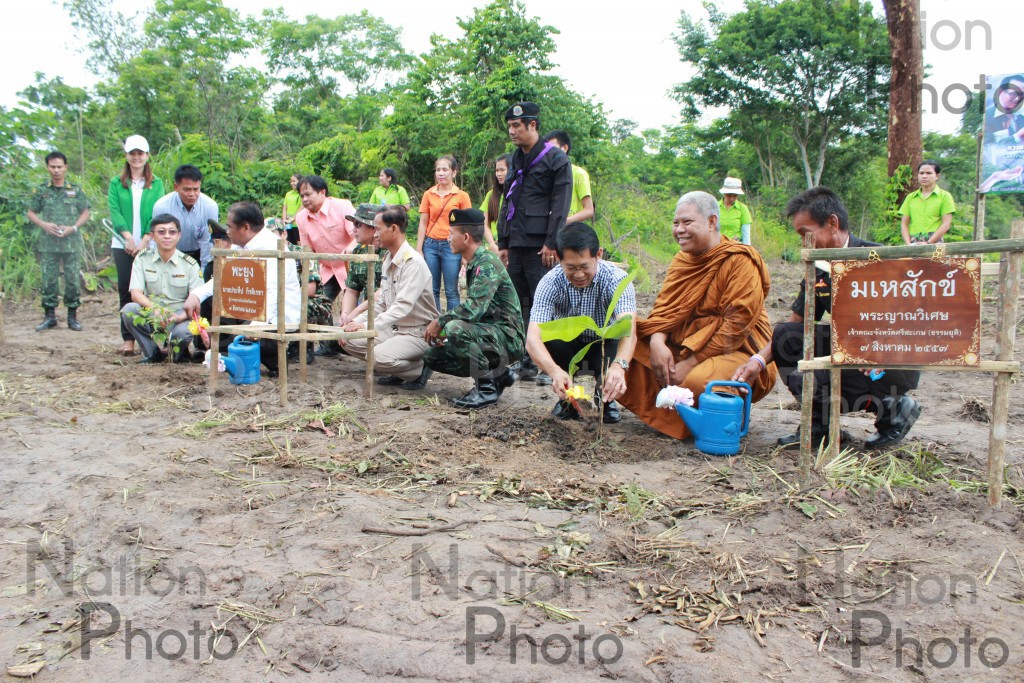 ปลูกป่าชายแดนถวาย ในหลวง องค์ราชินี ปลูกป่าชายแดนถวาย ในหลวง องค์ราชินี