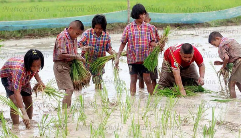 โรงเรียนชาวนา ห้องเรียนบนพื้นที่ธรรมชาติ