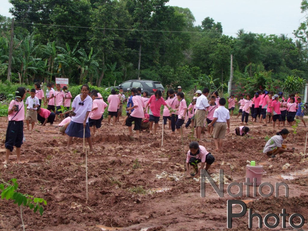 ร่วมปลูกป่า บวชต้นไม้อายุกว่า 100 ปี เฉลิมพระเกียรติ มหาราชินี ร่วมปลูกป่า บวชต้นไม้อายุกว่า 100 ปี เฉลิมพระเกียรติ มหาราชินี