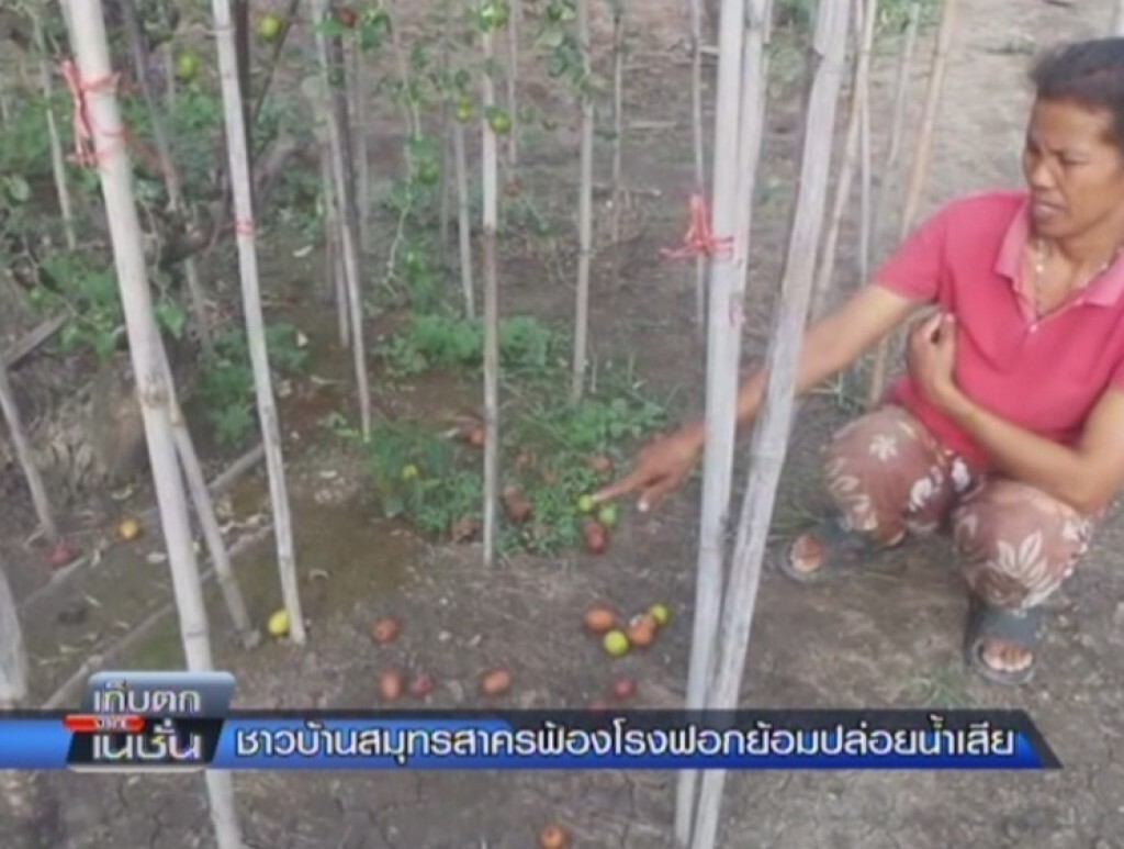 เก็บตก 77 จังหวัด : ชาวบ้านสมุทรสาครฟ้องโรงฟอกย้อมปล่อยน้ำเสีย เก็บตก 77 จังหวัด : ชาวบ้านสมุทรสาครฟ้องโรงฟอกย้อมปล่อยน้ำเสีย