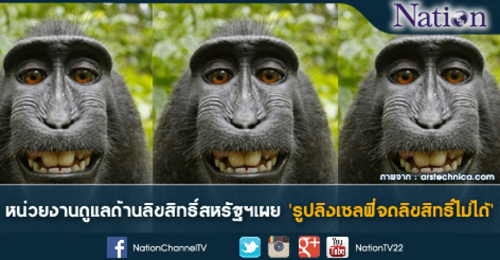 หน่วยงานดูแลด้านลิขสิทธิ์สหรัฐฯเผย 'รูปลิงเซลฟี่จดลิขสิทธิ์ไม่ได้' หน่วยงานดูแลด้านลิขสิทธิ์สหรัฐฯเผย 'รูปลิงเซลฟี่จดลิขสิทธิ์ไม่ได้'