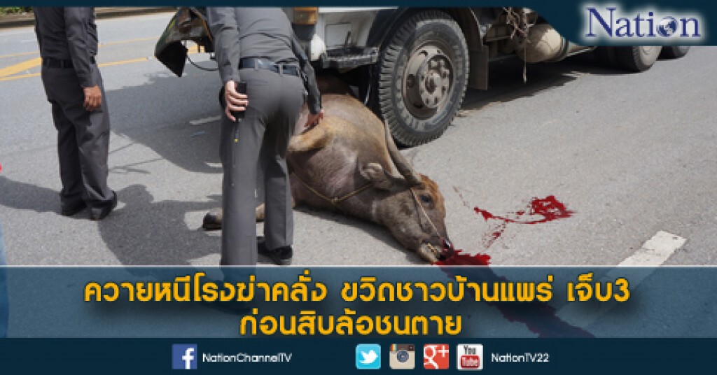 ควายหนีโรงฆ่าคลั่งขวิดชาวบ้านแพร่เจ็บ3 ก่อนสิบล้อชนตาย ควายหนีโรงฆ่าคลั่งขวิดชาวบ้านแพร่เจ็บ3 ก่อนสิบล้อชนตาย