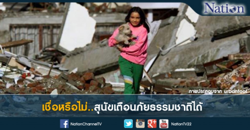 เชื่อหรือไม่ว่า "สุนัข" สามารถเตือนภัยธรรมชาติได้ เชื่อหรือไม่ว่า "สุนัข" สามารถเตือนภัยธรรมชาติได้