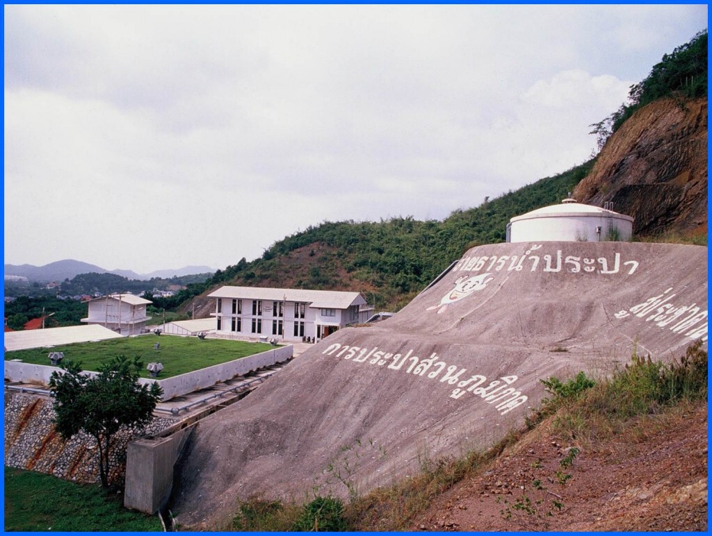 ประปาสัตหีบ โต้ปลาตายไม่ใช่สาเหตุการแพร่ระบาดโรคท้องร่วง