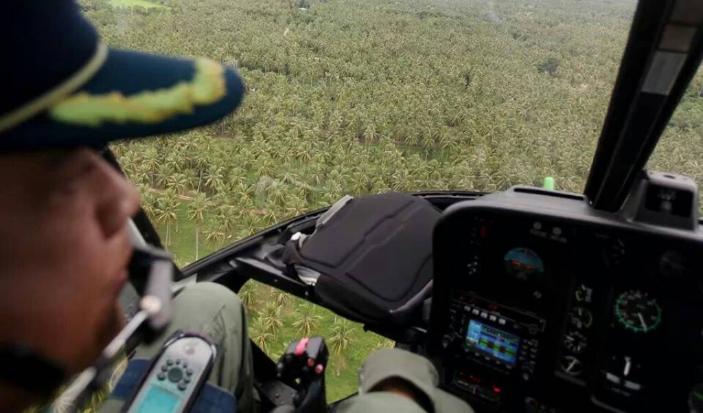 ตรวจสภาพต้นมะพร้าวในพื้นที่ อ.ทับสะแก ตรวจสภาพต้นมะพร้าวในพื้นที่ อ.ทับสะแก