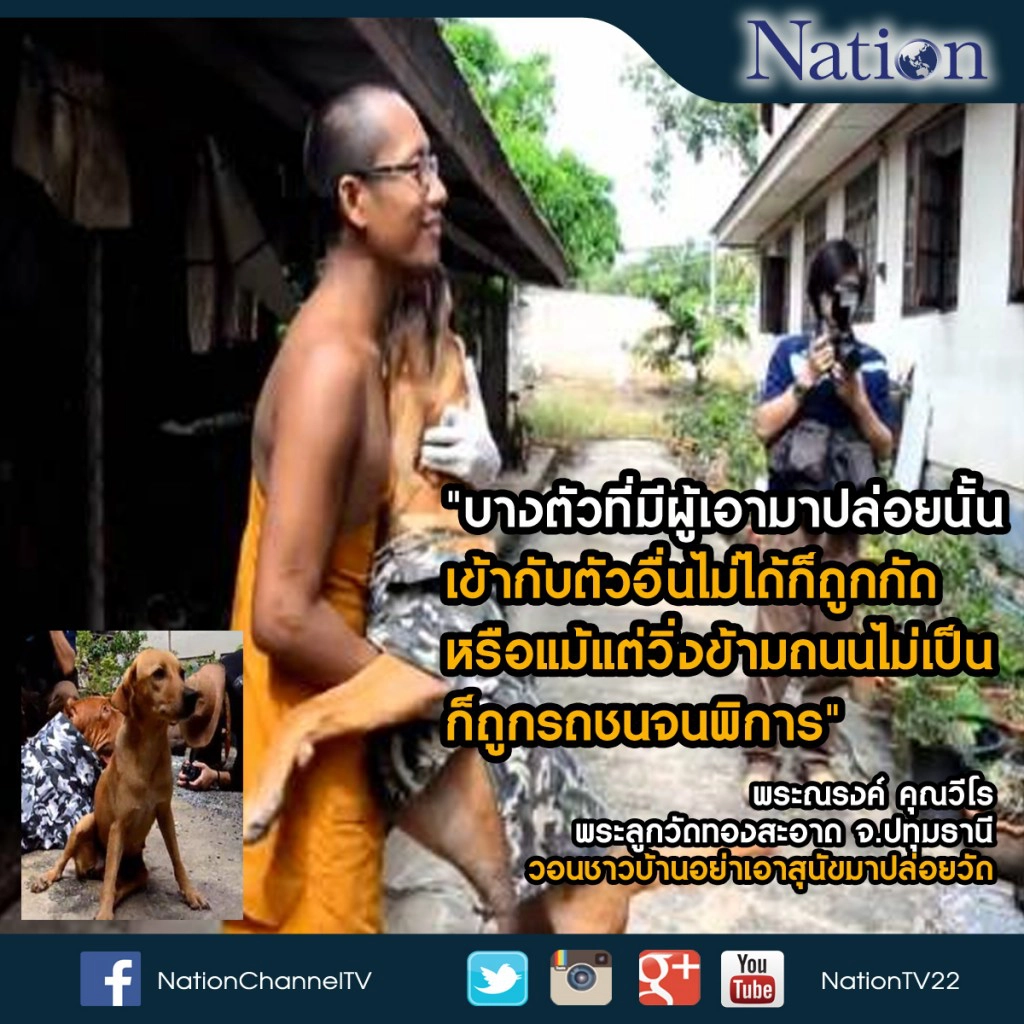พระเมืองปทุม วอนชาวบ้านอย่าเอาสุนัขมาปล่อยวัด