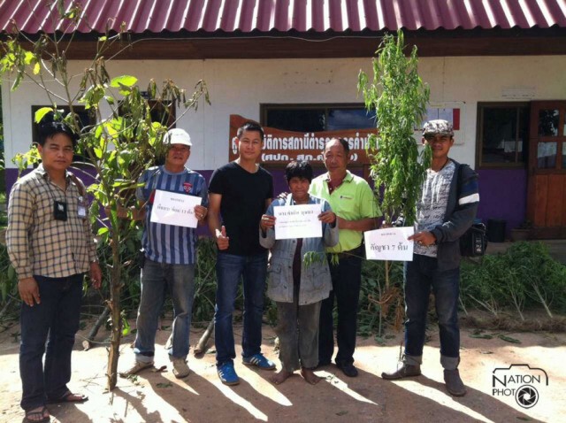 บุกจับกัญชา-ใบกระท่อม กลางป่าภูพาน