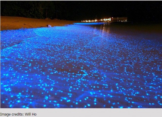 10 ชายหาดที่งดงามจากทั่วทุกมุมโลก ไม่เชื่อก็ต้องเชื่อว่ามีอยู่จริง