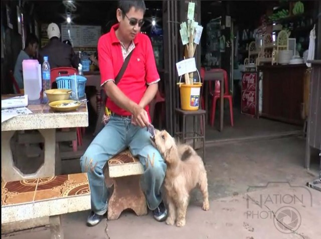 นครพนม - สุนัขแสนรู้ช่วยเจ้าของร้านเก็บเงิน-ทอนเงิน
