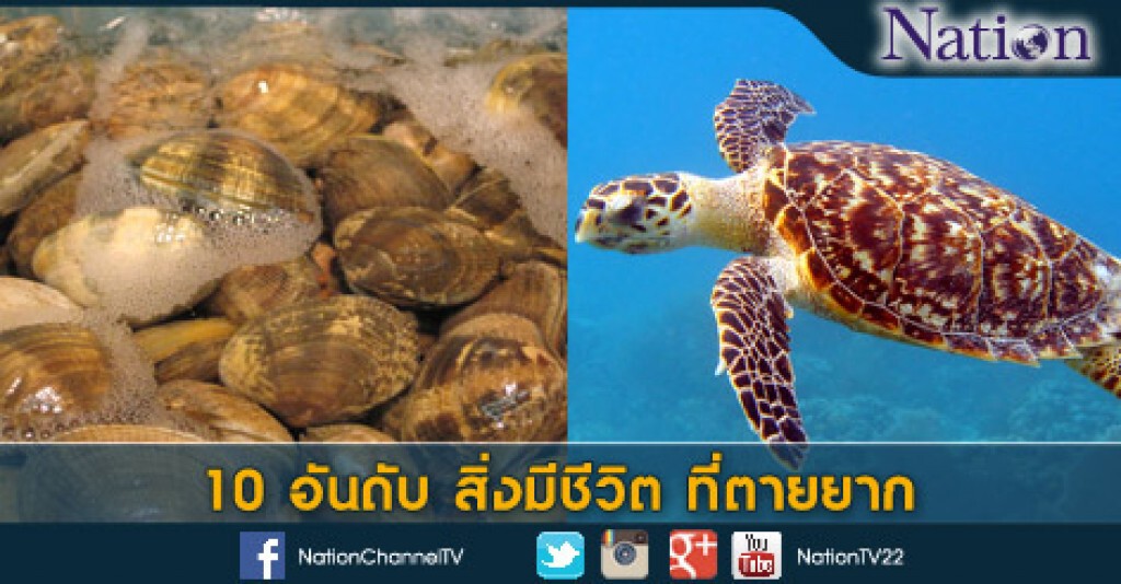 10 อันดับ สิ่งมีชีวิตที่ตายยาก 10 อันดับ สิ่งมีชีวิตที่ตายยาก