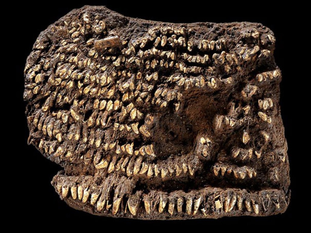 19 ภาพข้าวของเครื่องใช้ในอดีตที่มนุษย์สร้างขึ้น 19 ภาพข้าวของเครื่องใช้ในอดีตที่มนุษย์สร้างขึ้น