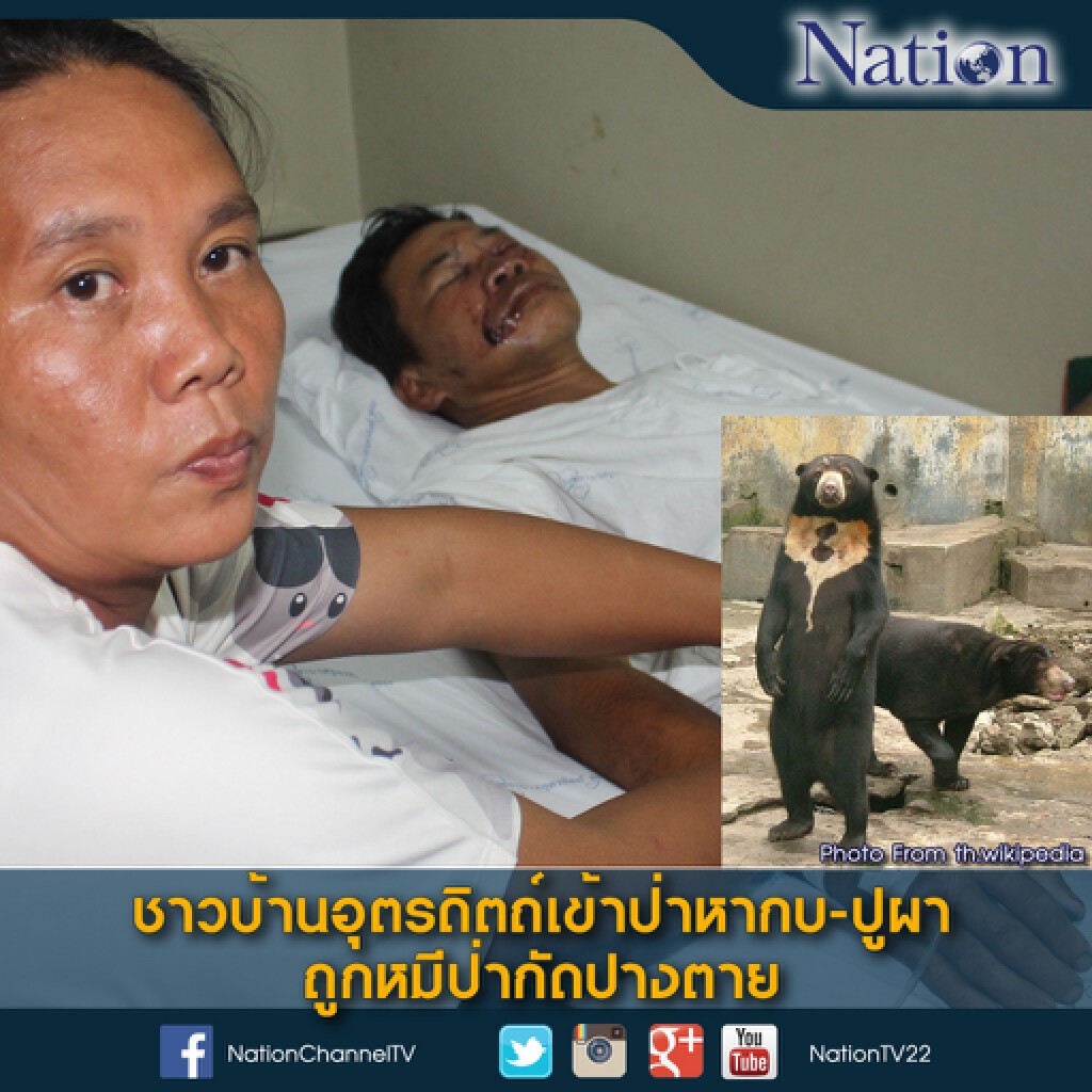 ชาวบ้านถูกหมีป่ากัดปางตาย ชาวบ้านถูกหมีป่ากัดปางตาย