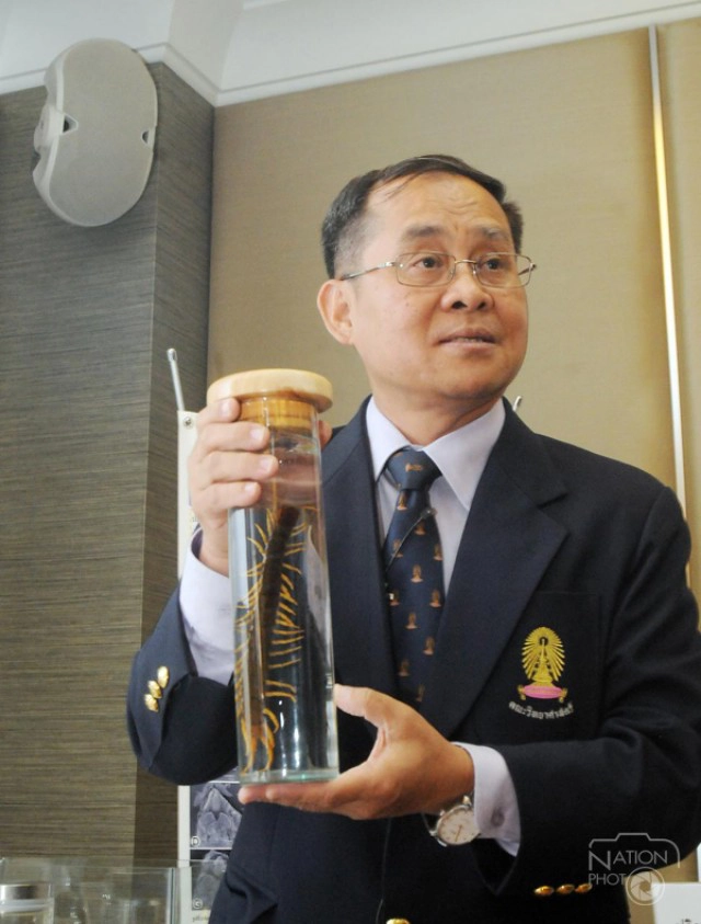 จุฬาฯเผยโฉม"ตะขาบม่วง-ไส้เดือนยักษ์สายพันธุ์ไทย"
