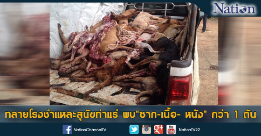 ทลายโรงชำแหละสุนัขท่าแร่ พบ"ซาก-เนื้อ- หนัง" กว่า 1 ตัน ทลายโรงชำแหละสุนัขท่าแร่ พบ"ซาก-เนื้อ- หนัง" กว่า 1 ตัน