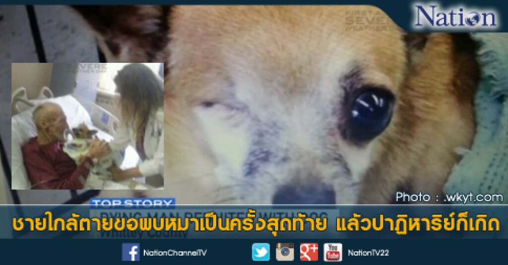 ชายใกล้ตาย ขอพบหมาเป็นครั้งสุดท้าย แล้วปาฏิหาริย์ก็เกิด ชายใกล้ตาย ขอพบหมาเป็นครั้งสุดท้าย แล้วปาฏิหาริย์ก็เกิด