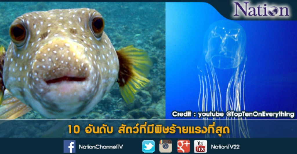 10 อันดับ สัตว์ที่มีพิษร้ายแรงที่สุด