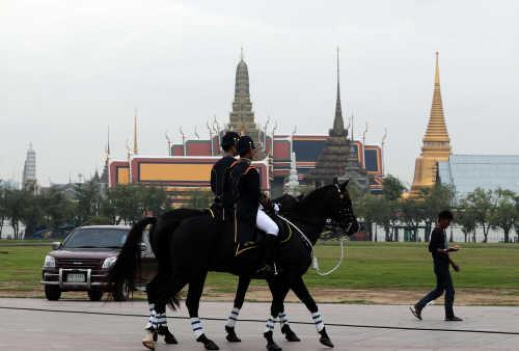 โครงการม้าลาดตระเวน โครงการม้าลาดตระเวน