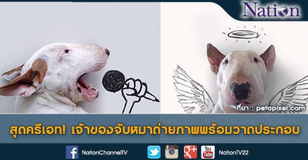 สุดครีเอท! เจ้าของจับหมาถ่ายภาพพร้อมวาดประกอบ สุดครีเอท! เจ้าของจับหมาถ่ายภาพพร้อมวาดประกอบ