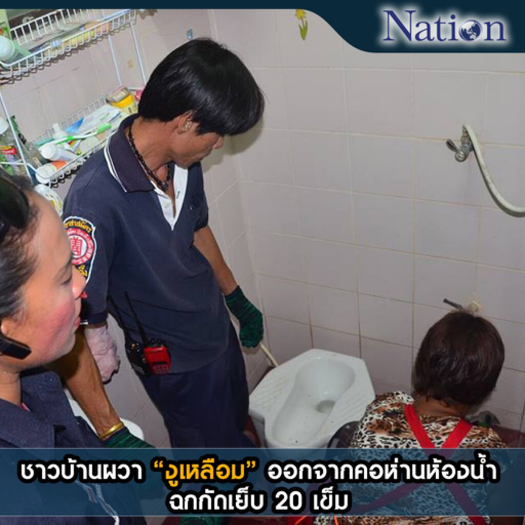 ชาวบ้านผวา "งูเหลือม" ออกจากคอห่านห้องน้ำ ฉกกัดเย็บ 20 เข็ม ชาวบ้านผวา "งูเหลือม" ออกจากคอห่านห้องน้ำ ฉกกัดเย็บ 20 เข็ม