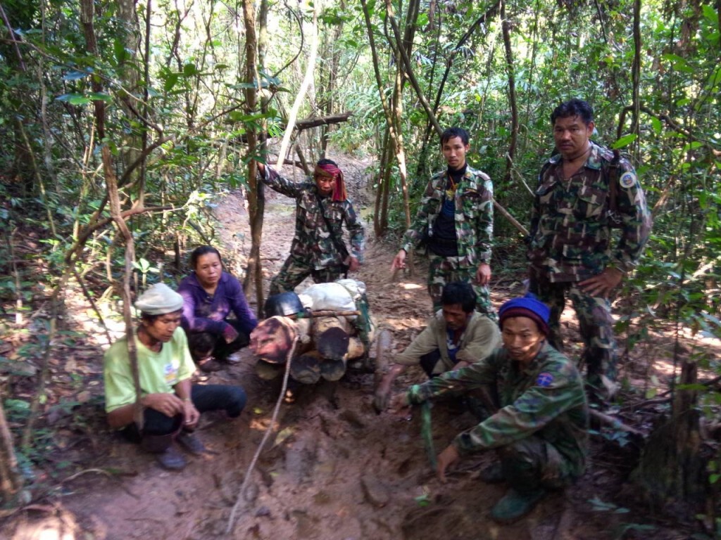ป่าไม้ ทหาร ตรวจยึดไม้พะยูง 10 ท่อน ได้ผู้ต้องหา 4 คน