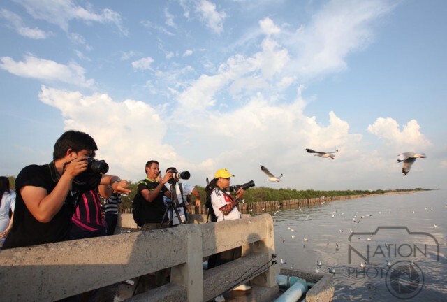 เปิดเทศกาลดูนกเมืองไทย ครั้งที่ 13 พบนก 190 สายพันธุ์