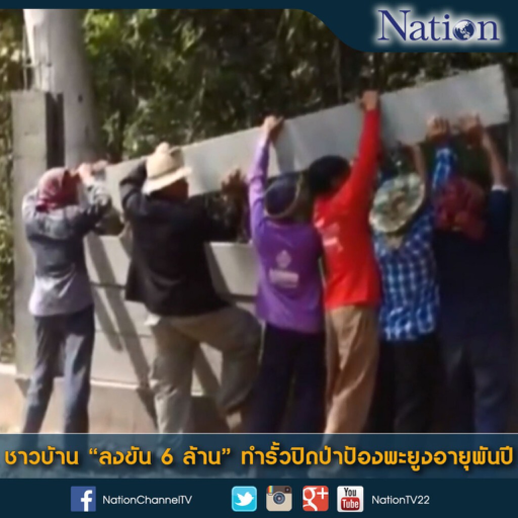 ชาวบ้าน "ลงขัน 6 ล้าน" ทำรั้วปิดป่าป้องพะยูงอายุพันปี