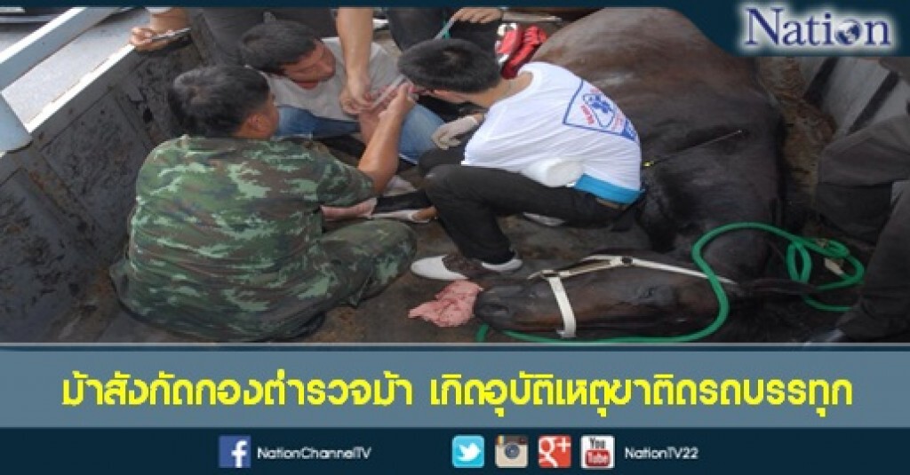 'เจ้าเจเนอรอล' สังกัดกองตำรวจม้า ประสบเหตุขาติดรถบรรทุก 'เจ้าเจเนอรอล' สังกัดกองตำรวจม้า ประสบเหตุขาติดรถบรรทุก