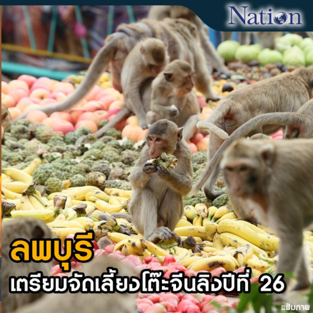 ลพบุรี เตรียมจัดเลี้ยงโต๊ะจีนลิง 30 พ.ย.นี้ ลพบุรี เตรียมจัดเลี้ยงโต๊ะจีนลิง 30 พ.ย.นี้