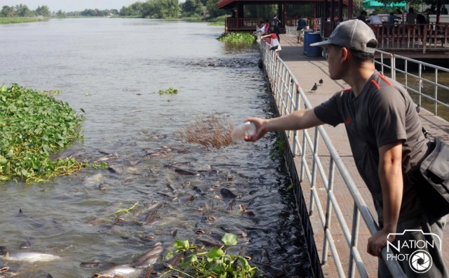 วัดบางพระ