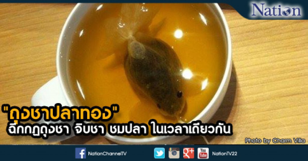 "ถุงชาปลาทอง"
ถุงชาแนวใหม่ จิบชา ชมปลาได้ในเวลาเดียวกัน "ถุงชาปลาทอง"
ถุงชาแนวใหม่ จิบชา ชมปลาได้ในเวลาเดียวกัน
