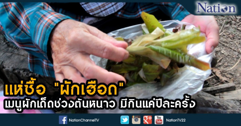 แห่ซื้อ "ผักเฮือด" เมนูผักเด็ดช่วงต้นหนาว มีกินแค่ปีละครั้ง แห่ซื้อ "ผักเฮือด" เมนูผักเด็ดช่วงต้นหนาว มีกินแค่ปีละครั้ง