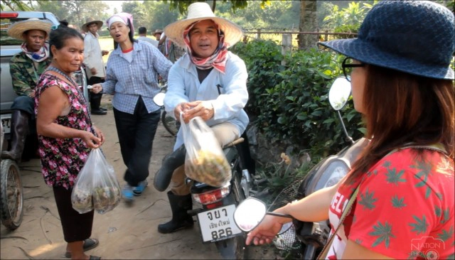 แห่ซื้อ "ผักเฮือด" เมนูผักเด็ดช่วงต้นหนาว มีกินแค่ปีละครั้ง