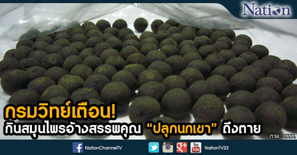 กรมวิทย์เตือน! กินสมุนไพรอ้างสรรพคุณ "ปลุกนกเขา" ถึงตาย