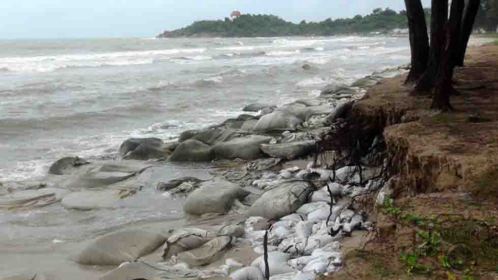 คลื่นกัดเซาะ "ชายหาดชลาทัศน์"หวั่นทิวสนริมหาดล้ม