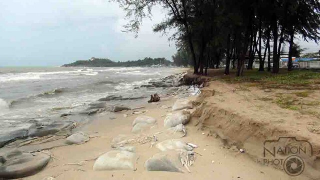 คลื่นกัดเซาะ "ชายหาดชลาทัศน์"หวั่นทิวสนริมหาดล้ม