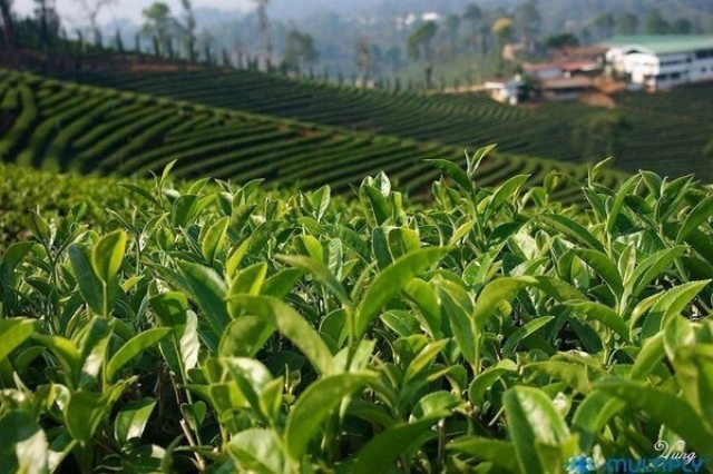 5 สถานที่  Unseen หน้าหนาว