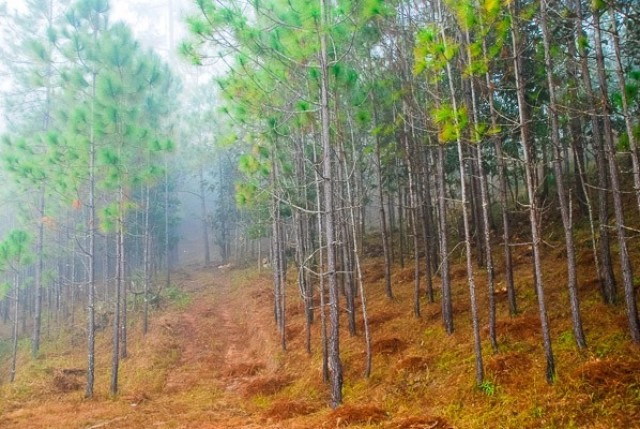 5 สถานที่  Unseen หน้าหนาว