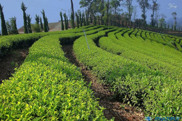 5 สถานที่  Unseen หน้าหนาว