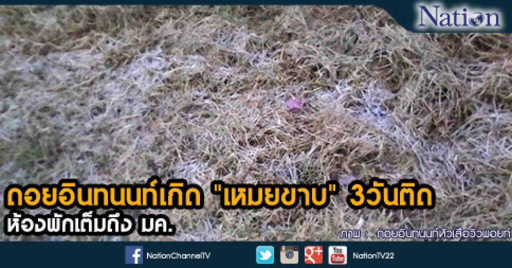 ดอยอินทนนท์เกิด "เหมยขาบ" 3วันติด ห้องพักเต็มถึง มค. ดอยอินทนนท์เกิด "เหมยขาบ" 3วันติด ห้องพักเต็มถึง มค.